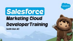 Salesforce Marketing Cloud Developer Training Course