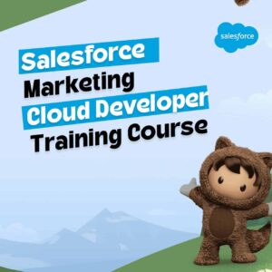 Salesforce Marketing Cloud Developer Training Course (Advanced)