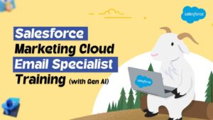 Salesforce Marketing Cloud Email Specialist Training Course